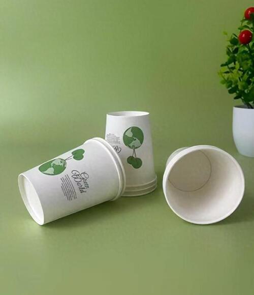 Latest company Solutions about  A Birthday Dinner Ruined by Paper Bowls — Are a Seller's Verbal Promises Legally Binding?