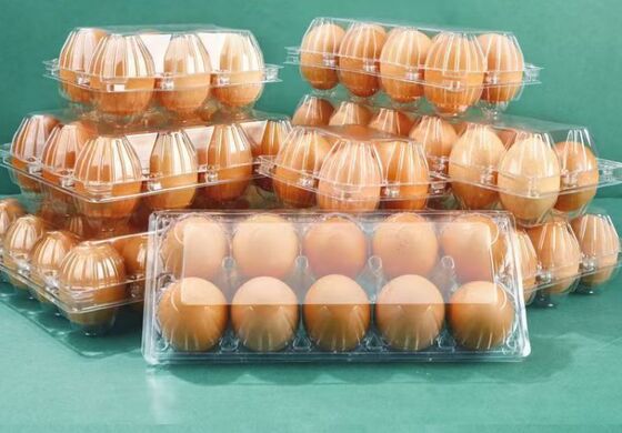 Giá tốt. Thùng chứa trứng nhựa dùng một lần 30 tế bào rõ ràng với nắp để vận chuyển chứa trứng chống sốc trực tuyến