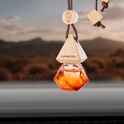 Giá tốt. Chiếc xe Air Freshener Pendant Long Lasting Essential Oil Gifts trực tuyến